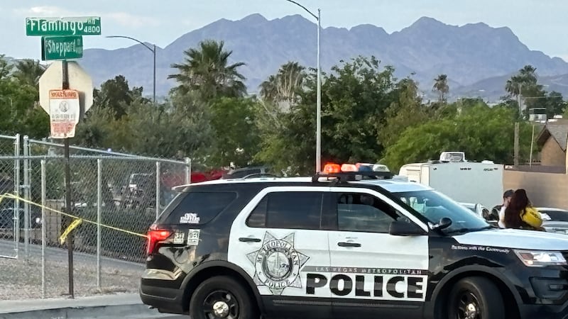 Las Vegas police are investigating after a man was shot in the head during a fight at a...