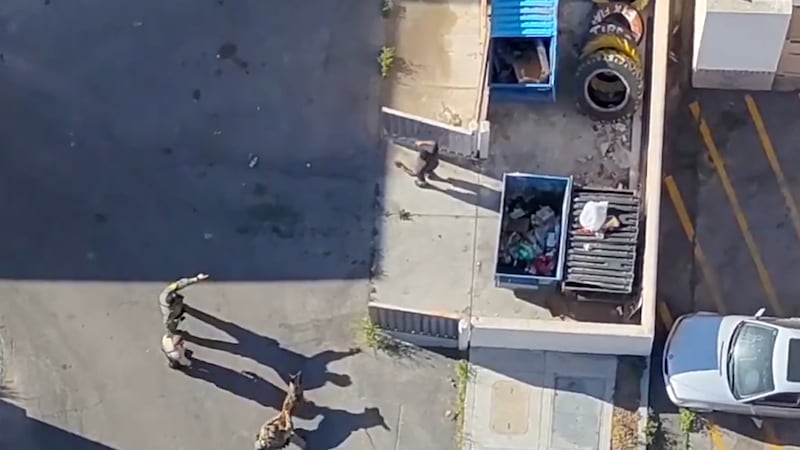 Las Vegas police drone helps track down suspect after northwest valley stabbing, crash