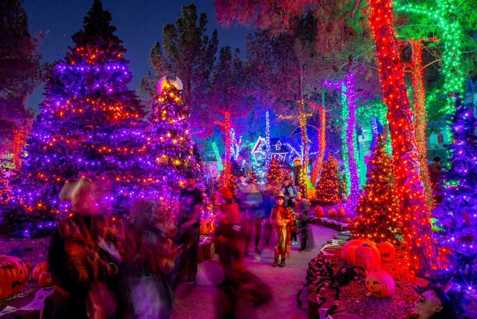 El Bosque Mágico está teniendo su mejor año hasta la fecha, con una afluencia de visitantes...
