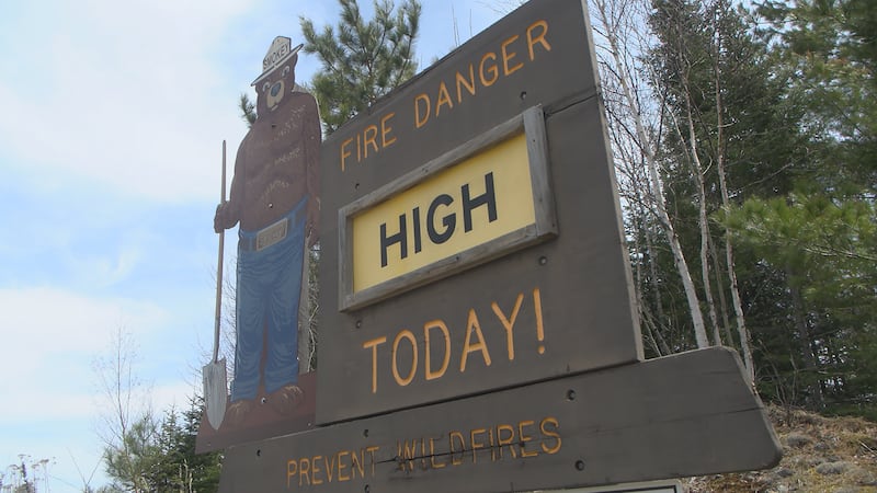 SMOKEY THE BEAR WILD FIRE DANGER