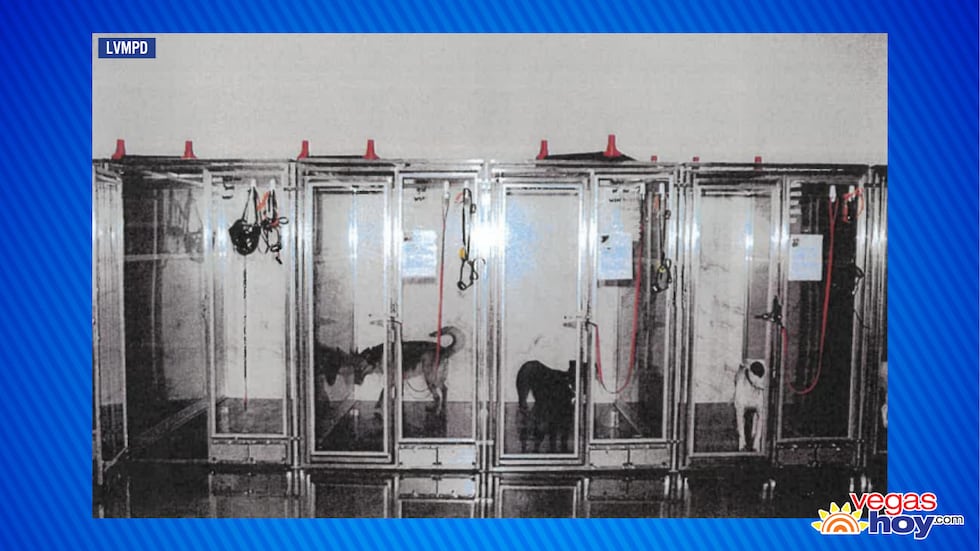 Una investigación sobre crueldad animal del Departamento de Policía Metropolitana de Las Vegas...