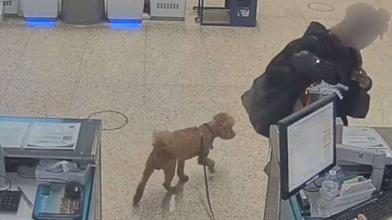 Un informe de arresto detalla el momento en que una mujer insistió en que no perdería su vuelo...