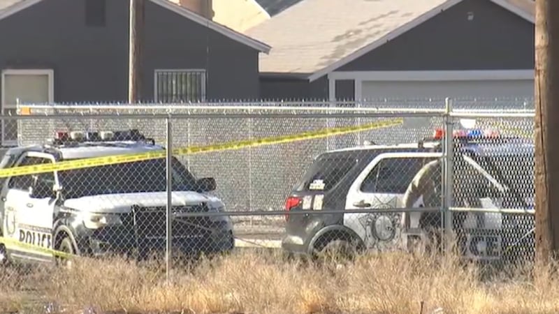911 calls have been released from a shooting that left a Las Vegas city employee dead. The...