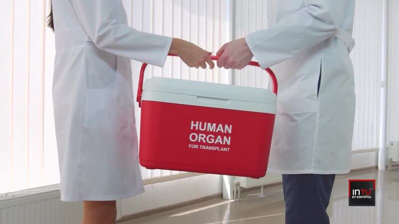 El destino de los órganos donados que no se usan