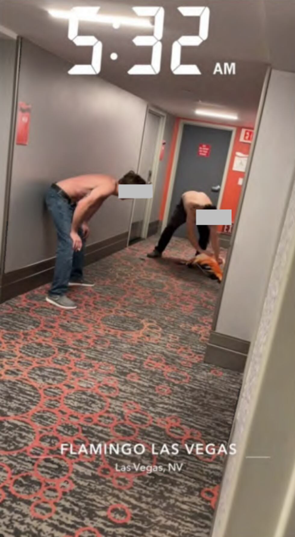 A man faces four counts of animal cruelty after Las Vegas police say he broke into a Flamingo...