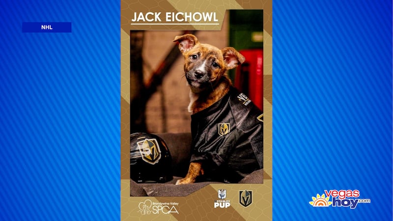 ‘Jack Eichel’ representará a los Vegas Golden Knights en la transmisión de la NHL Stanley Pup.