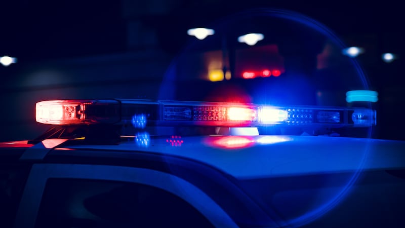police lights adobe stock