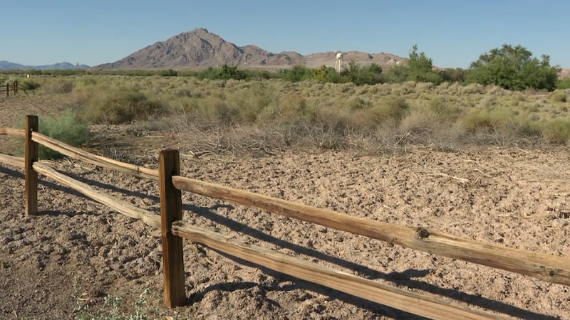 Wetlands Park leaders optimistic on recovery after massive fire