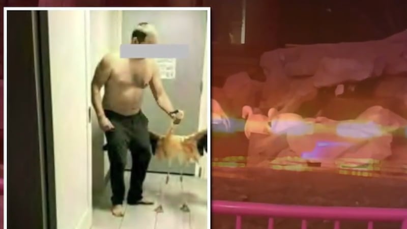 Mitchell Fairbarn, of Ontario, Canada, was seen on a security camera early last Tuesday...