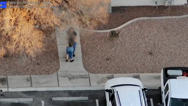 Policía de Las Vegas informa de decenas de arrestos y armas de fuego recuperadas.