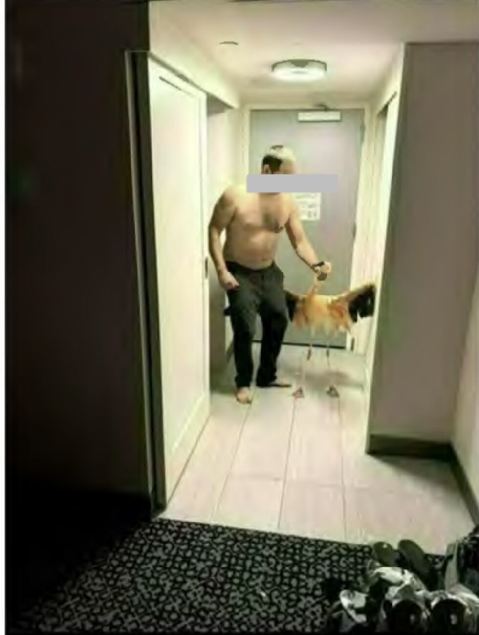 A man faces four counts of animal cruelty after Las Vegas police say he broke into a Flamingo...