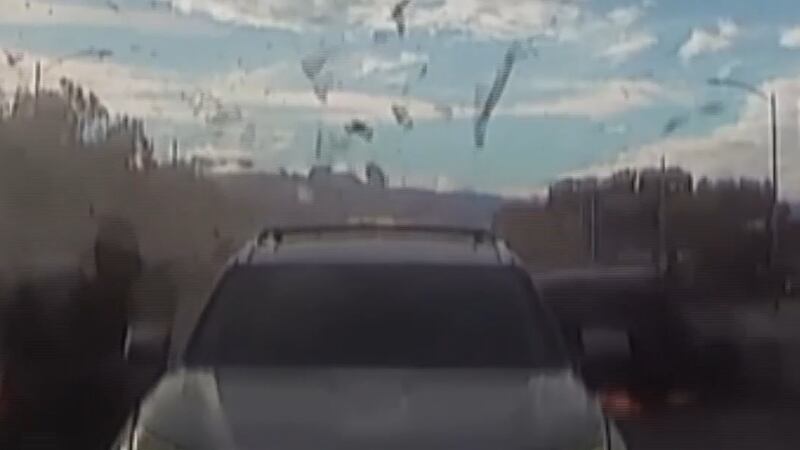 Newly-released dash cam video shows the moments leading up to a deadly 12-car crash in...