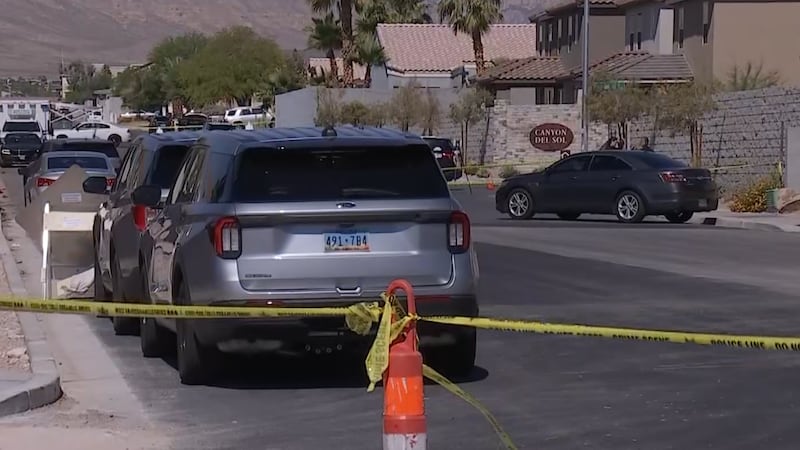 LVMPD investigates southwest Las Vegas homicide after elderly woman shot near W Rochelle Ave...