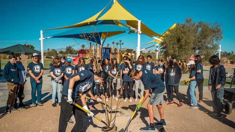 La ciudad de Las Vegas está ofreciendo árboles resistentes a la sequía de forma gratuita a los...