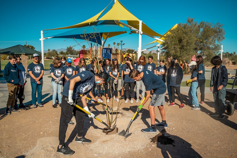 La ciudad de Las Vegas está ofreciendo árboles resistentes a la sequía de forma gratuita a los...