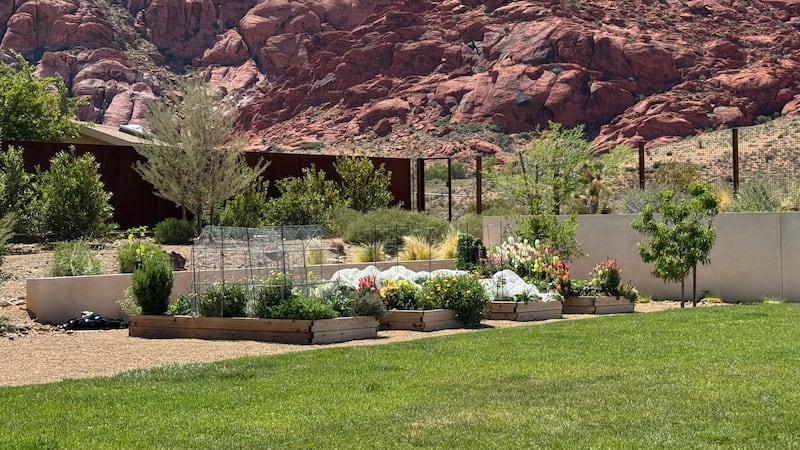 Garden Farms of Nevada sees a surge of calls in Las Vegas from residents wanting to grow safe...