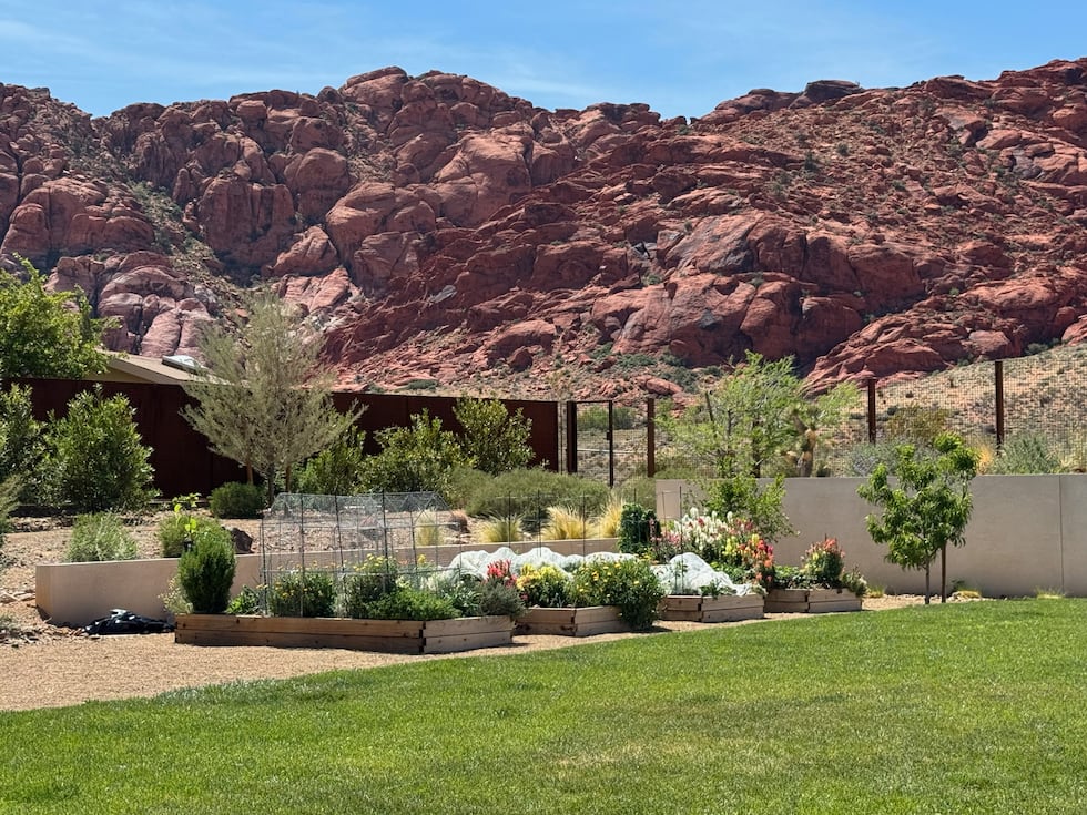 Garden Farms of Nevada sees a surge of calls in Las Vegas from residents wanting to grow safe...