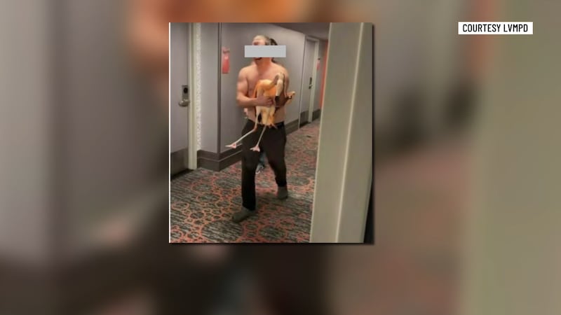 Trial set for man accused of stealing hotel flamingo