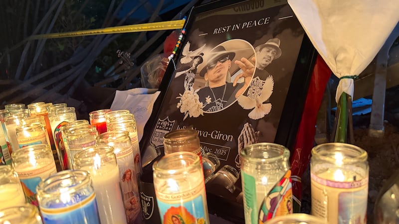 The family of a man killed in a car crash is calling for stricter driving laws after police...