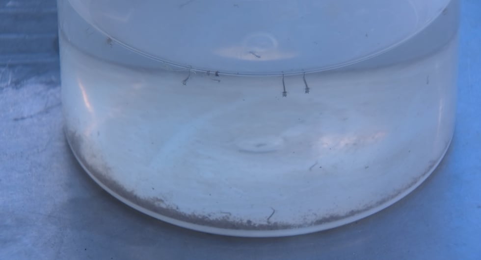 El Distrito de Salud del Sur de Nevada insta a los residentes a desechar el agua estancada,...