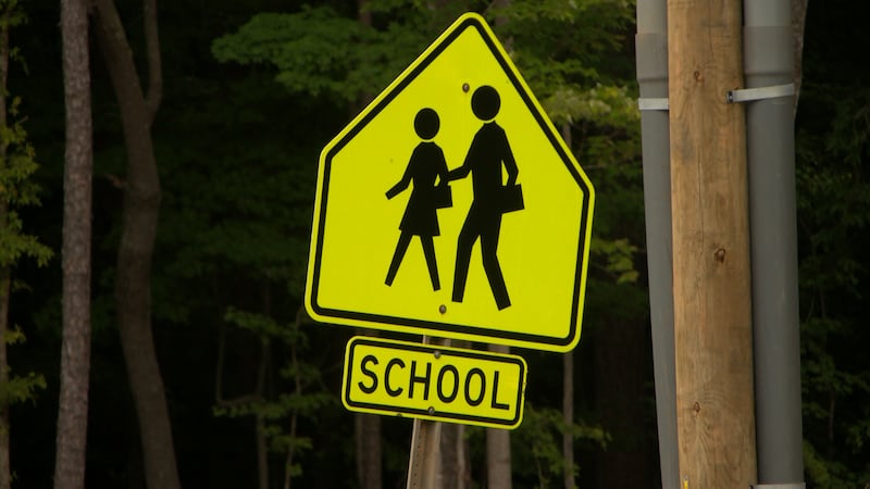 School crossing traffic guard