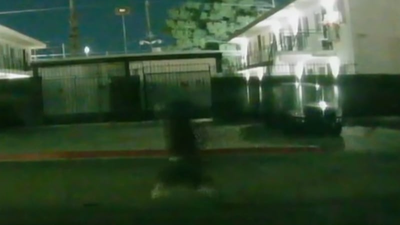 A bullet went through a Las Vegas apartment early Sunday morning after an unknown shooter...