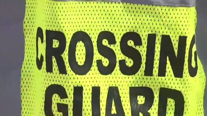 A local volunteer group founded after the death of Arbor View High School student McKenzie...
