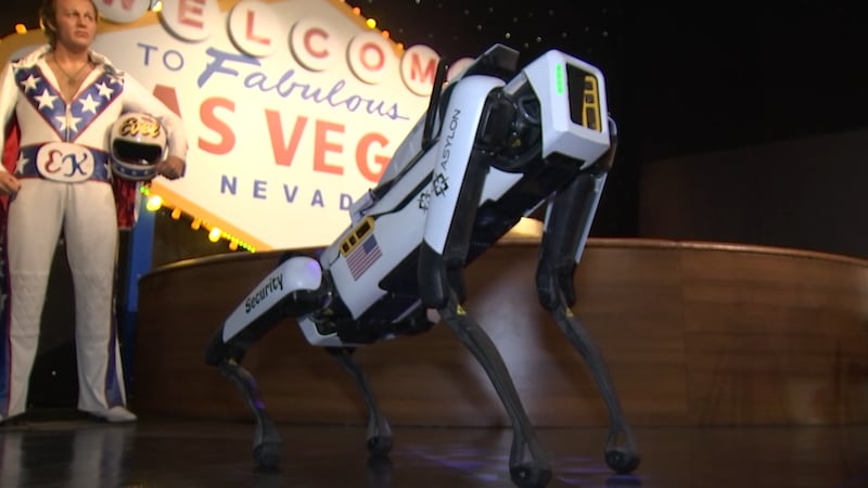 A robotic security dog is patrolling Madame Tussauds Wax Museum on the Las Vegas Strip.