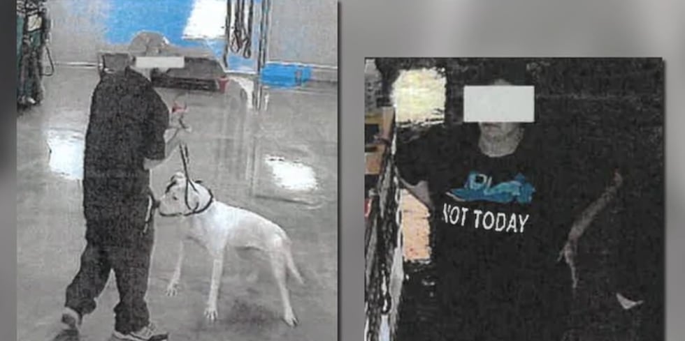 The two employees arrested in the month-long animal abuse investigation into a local rescue...
