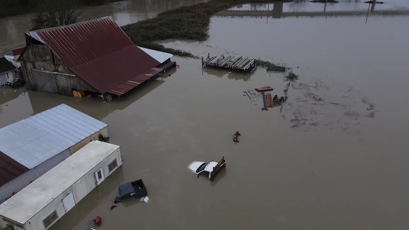 El estado de Washington se encuentra en estado de emergencia debido a una serie de lluvias...