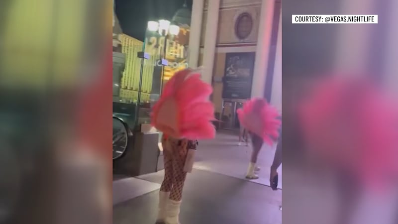 ‘Fights once or twice a month’: Vegas creator shares more on feather girl photo ops turned...
