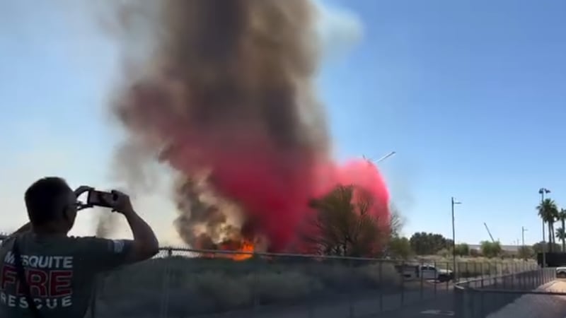 Según las autoridades, efectivos del servicio de Bomberos y Rescate de Mesquite están...