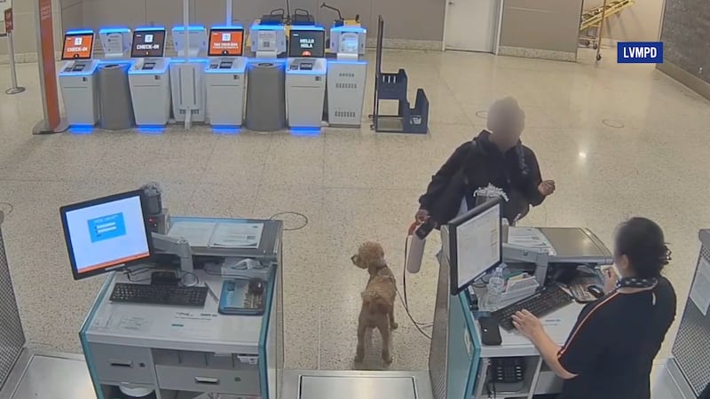 Arrestan a una mujer por abandonar a su perro en el aeropuerto de Las Vegas.