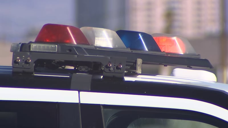 Photo of Las Vegas Metro Police.