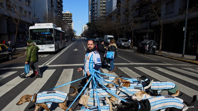 Nahuel Meneghini, paseador de perros, pasea a los perros vestido con camisetas de la selección...