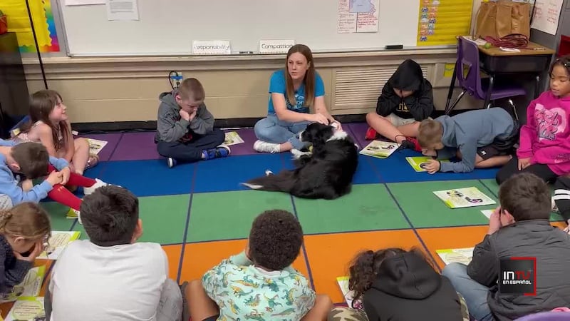 Cómo los perros pueden ayudar a combatir el bullying