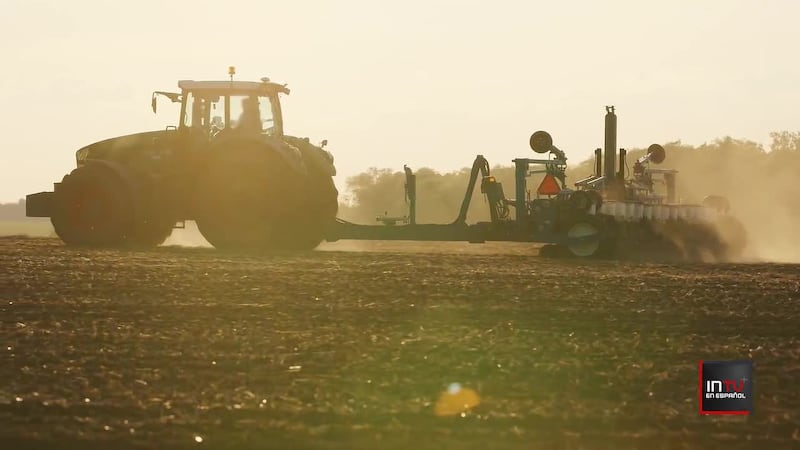 Detectan tóxicos en plantaciones y agua de estos estados