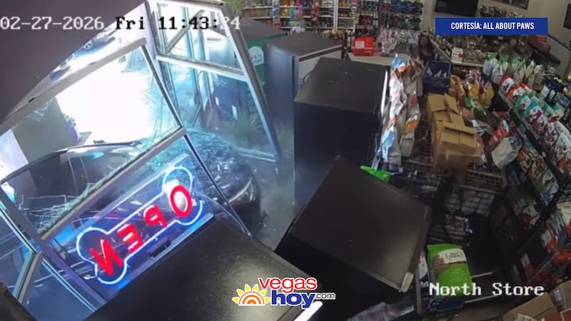 Video de vigilancia muestra accidente en tienda de mascotas en North Las Vegas.