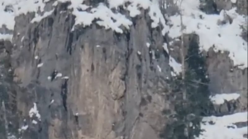 Las Vegas Metro Police’s Search and Rescue team made a dozen rescues last month as winter...