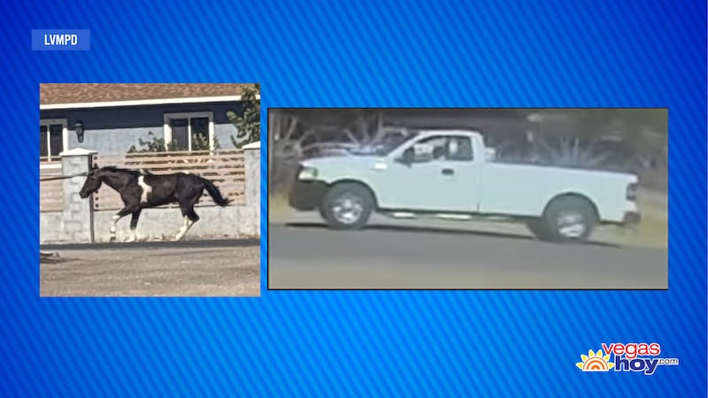 Un caballo fue hallado muerto en el este de Las Vegas, después de que la policía informara que...