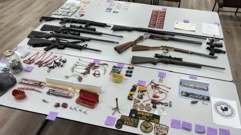 Multi-agency operation seizes 478 birds, 11 firearms and more than $60,000 in cash.