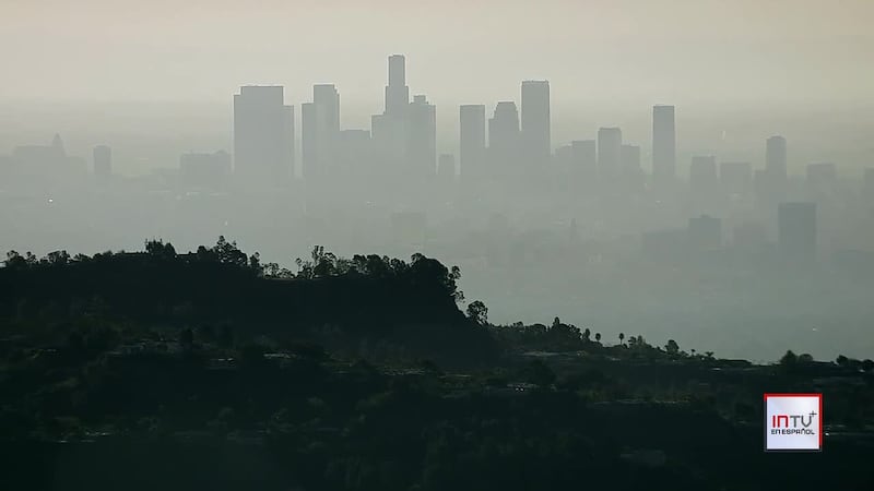 ¿Cuál es la calidad del aire en tu ciudad?
