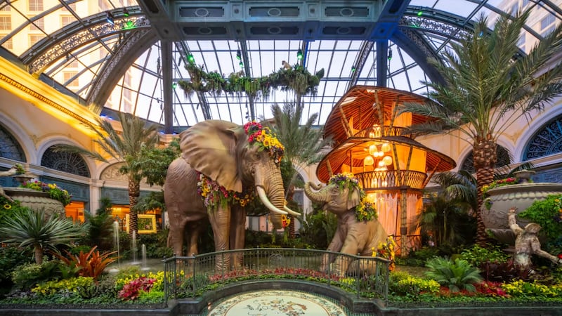 The Bellagio Conservatory & Botanical Gardens has unveiled its 2026 summer display, which will...
