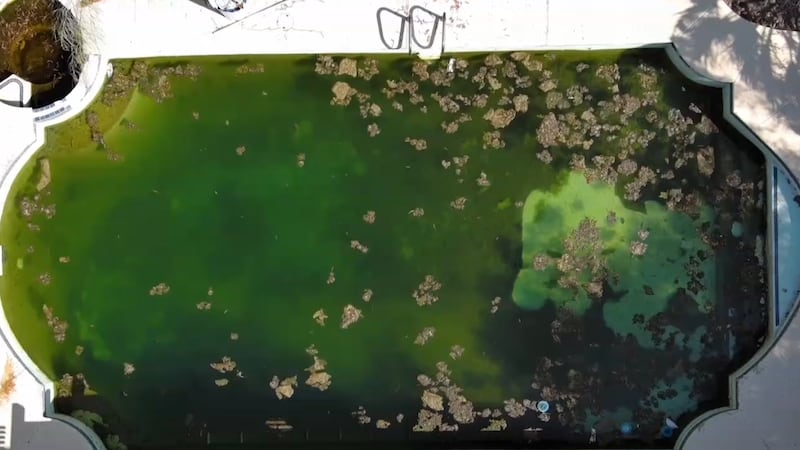 Neighbors near Green Valley and Deer Springs Drive say a backyard pool has become a growing...