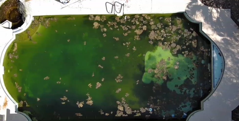 Neighbors near Green Valley and Deer Springs Drive say a backyard pool has become a growing...