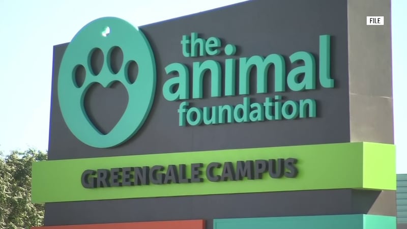 A sign marks the Animal Foundation’s Greengale Campus in Las Vegas. The Clark County...