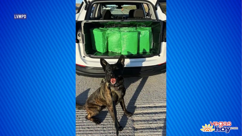 La policía de North Las Vegas incauta 100 libras de metanfetamina durante una parada de tráfico.