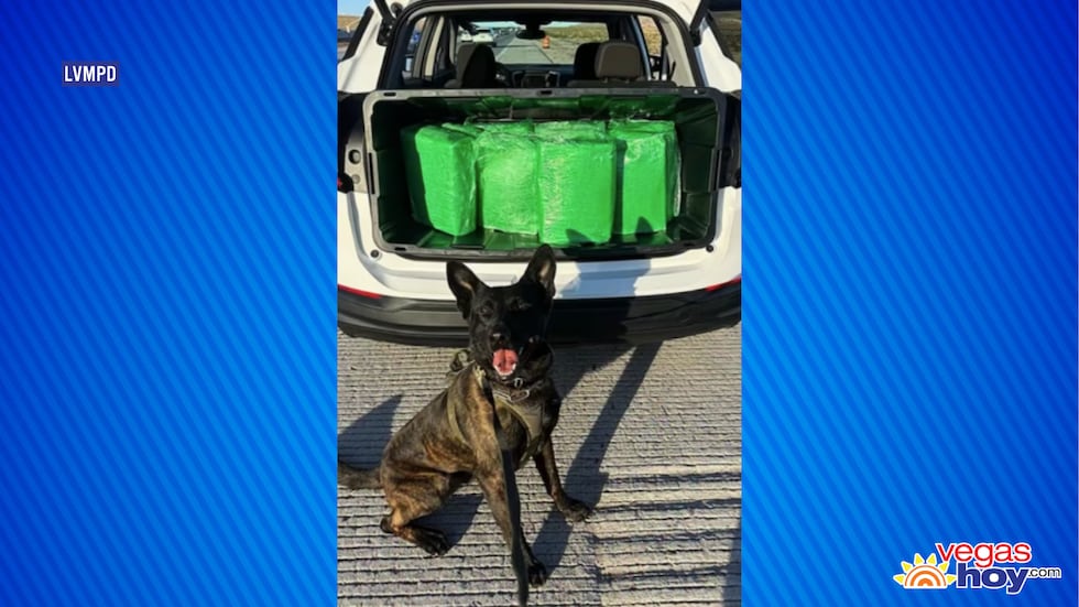 La policía de North Las Vegas incauta 100 libras de metanfetamina durante una parada de tráfico.