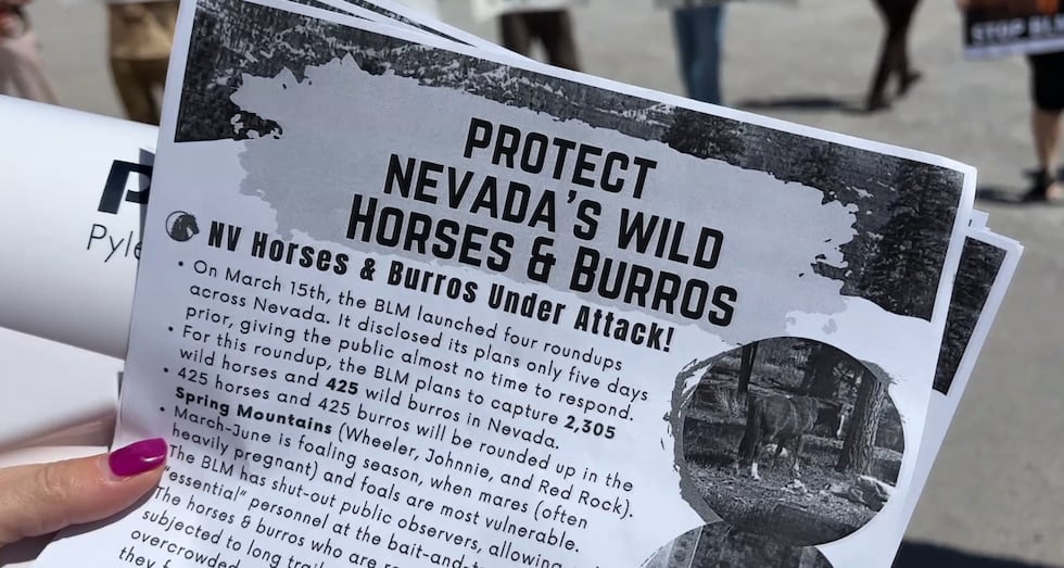 Decenas de personas se congregaron el domingo cerca de Red Rock para manifestarse en contra de...