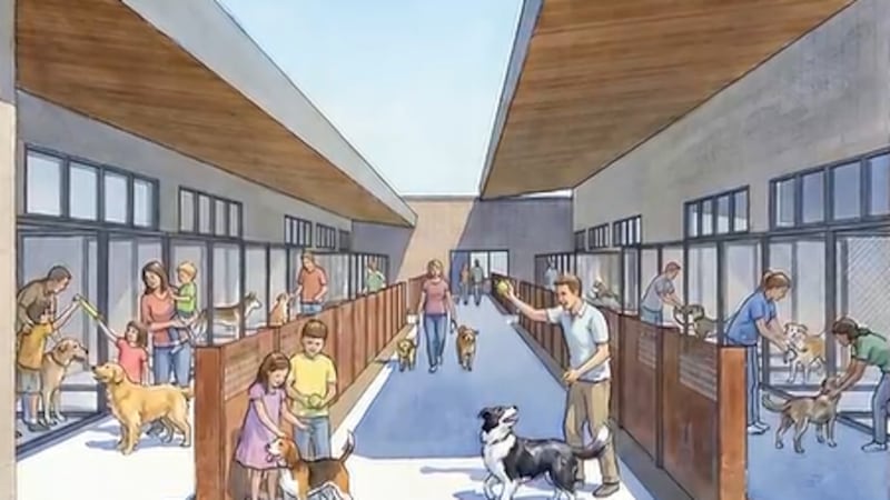 A new Clark County animal shelter planned near Post and Jones will house nearly 200 pets to...
